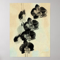 Orchid Blush Panels III