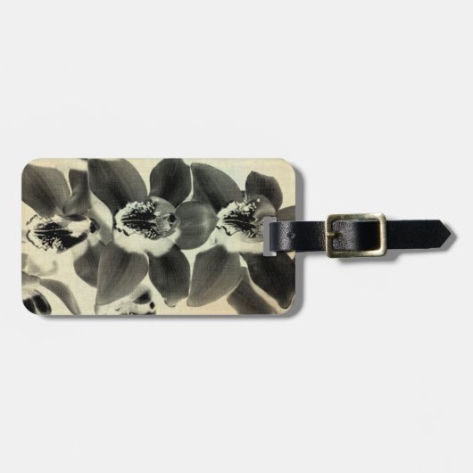 Orchid Blush Panels IV Bagagelabel (Voorkant horizontaal)