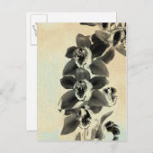 Orchid Blush Panels IV Briefkaart (Voorkant / Achterkant)