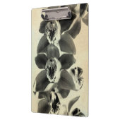 Orchid Blush Panels IV Klembord (Links)