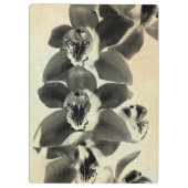 Orchid Blush Panels IV Klembord (Achterkant)