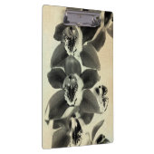 Orchid Blush Panels IV Klembord (Rechts)
