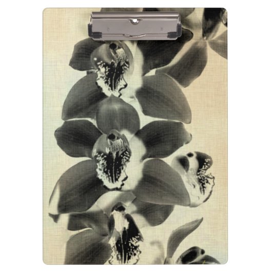 Orchid Blush Panels IV Klembord (Voorkant)