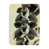 Orchid Blush Panels IV Magneet (Verticaal)