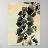 Orchid Blush Panels IV Poster (Voorkant)