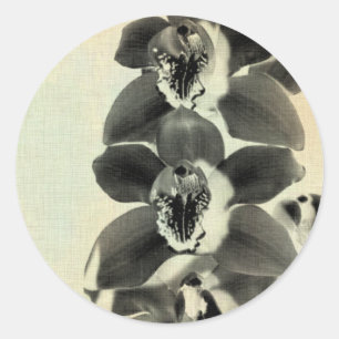 Orchid Blush Panels IV Ronde Sticker