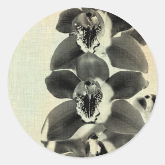 Orchid Blush Panels IV Ronde Sticker (Voorkant)