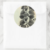 Orchid Blush Panels IV Ronde Sticker (Tas)