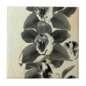 Orchid Blush Panels IV Tegeltje (Voorkant)