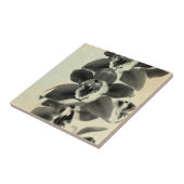 Orchid Blush Panels IV Tegeltje (Zijkant)