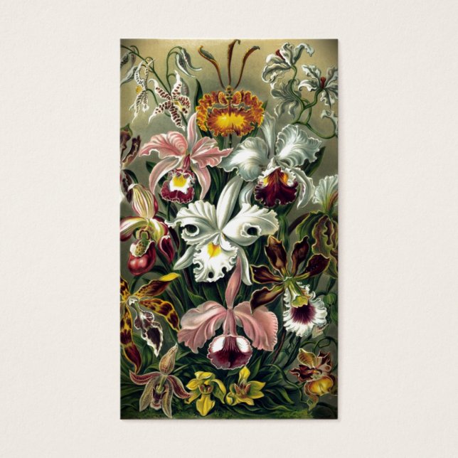 Orchid Botanical Print Visitekaartjes (Voorkant)