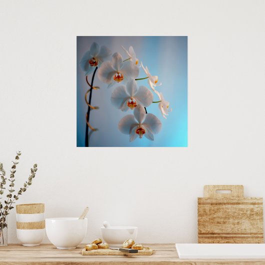 Orchid Branch Poster (Keuken)