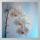 Orchid Branch Poster (Voorkant)