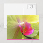 Orchid Briefkaart (Voorkant / Achterkant)