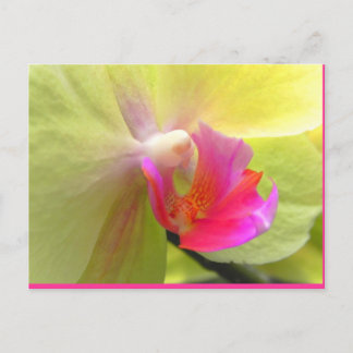 Orchid Briefkaart