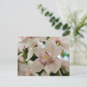 Orchid ・ Briefkaart (Staand voorkant)