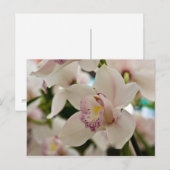 Orchid ・ Briefkaart (Voorkant / Achterkant)