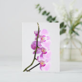 orchid briefkaart (Staand voorkant)