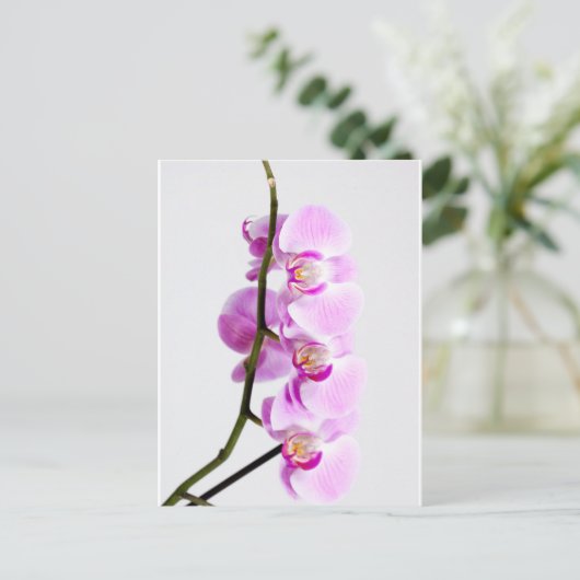 orchid briefkaart (Staand voorkant)
