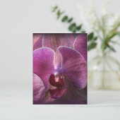 Orchid Briefkaart (Staand voorkant)