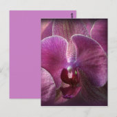 Orchid Briefkaart (Voorkant / Achterkant)
