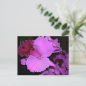 Orchid Briefkaart (Staand voorkant)