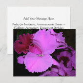 Orchid Briefkaart (Voorkant / Achterkant)