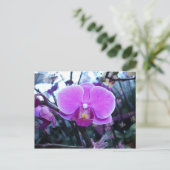 Orchid Briefkaart (Staand voorkant)