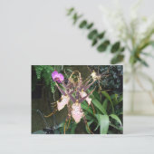 Orchid Briefkaart (Staand voorkant)
