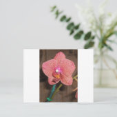 Orchid Briefkaart (Staand voorkant)