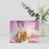 Orchid Briefkaart (Staand voorkant)