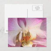 Orchid Briefkaart (Voorkant / Achterkant)