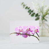 orchid briefkaart (Staand voorkant)