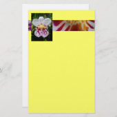 Orchid Briefpapier (Voorkant / Achterkant)