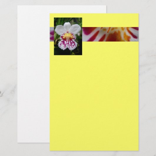 Orchid Briefpapier (Voorkant / Achterkant)