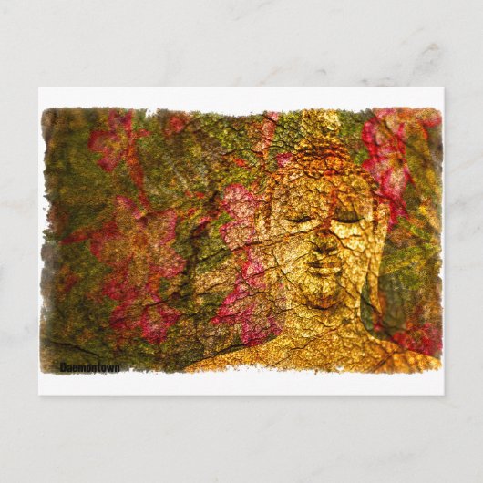 Orchid Buddha Briefkaart (Voorkant)