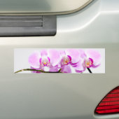 orchid bumpersticker (Op auto)