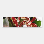 Orchid Bumpersticker (Voorkant)