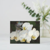 Orchid Bunch Briefkaart (Staand voorkant)
