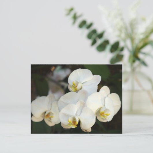 Orchid Bunch Briefkaart (Staand voorkant)