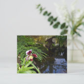 Orchid by Water Briefkaart (Staand voorkant)