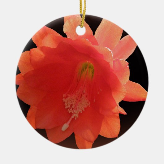 Orchid Cactus - Epiphyllum Ackermannii - Blossom Keramisch Ornament (Voorkant)