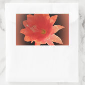 Orchid Cactus - Epiphyllum Ackermannii - Blossom Rechthoekige Sticker (Tas)