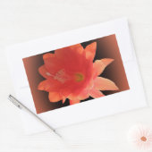 Orchid Cactus - Epiphyllum Ackermannii - Blossom Rechthoekige Sticker (Envelop)