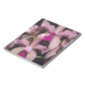 Orchid (Cattleya amethystoglossa), oostelijk Notitieblok (Linkerzijde)