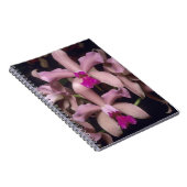 Orchid (Cattleya amethystoglossa), oostelijk Notitieboek (Rechterzijde)