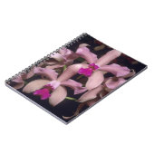 Orchid (Cattleya amethystoglossa), oostelijk Notitieboek (Linkerzijde)