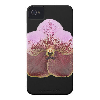 Orchid Cell Phone Case, iPhone 4 Case-Mate iPhone Case