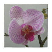 Orchid Ceramic Tile Tegeltje (Voorkant)
