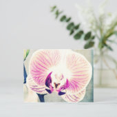 Orchid Colors Briefkaart (Staand voorkant)